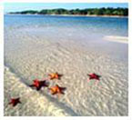 Jardines del Rey